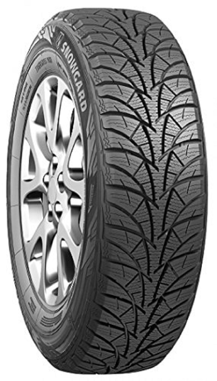 >>Etichetta Pneumatici ROSAVA SNOW 185/70 R14 88 T